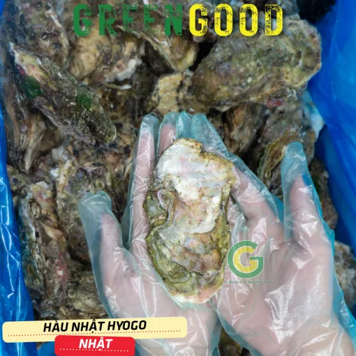 HÀU-NHẬT-HYOGO-32