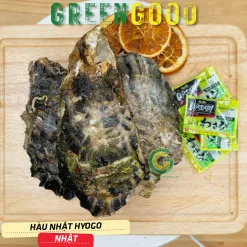 HÀU-NHẬT-HYOGO424