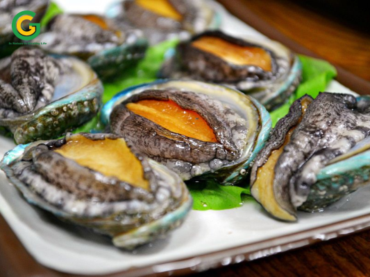 bao ngu han quoc gia si