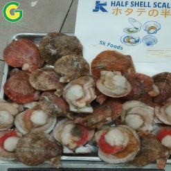 Sò Điệp Nửa Mảnh Nhật - 3040 (A HALF SHELL FROZEN JP SCALLOPS) a (1)