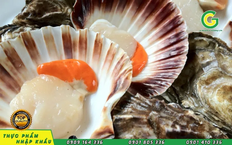 Những Lưu Ý Khi Làm Sạch Nghêu, Sò