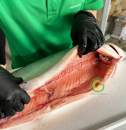 Cá Hồi Nauy IMG_2651 (1)