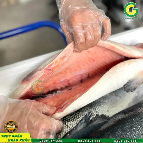 Cá Hồi Nauy  IMG_1102-3