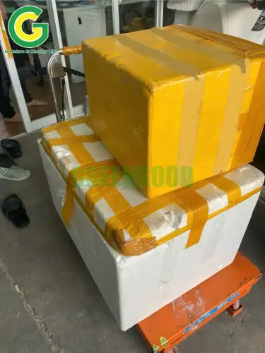 z6223775124979_f0771f467b38105ab6684db8112b217b