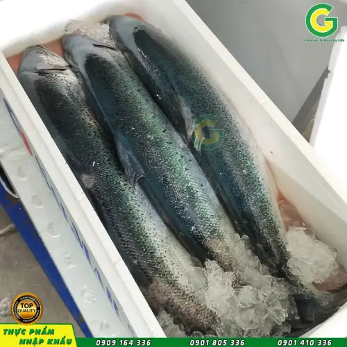 Cá Hồi Nauy Nhập Khẩu _ 142b5f62c671-á