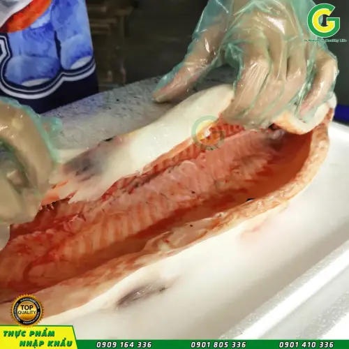 Cá Hồi Nauy Nhập Khẩu _142b5f62c67103bf137c2246c9bcb1bb-2